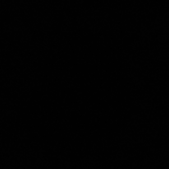 Blank - Picture 1 of 1